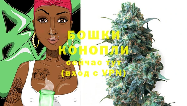 кокс Инсар