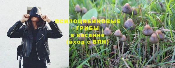 МДПВ Инта