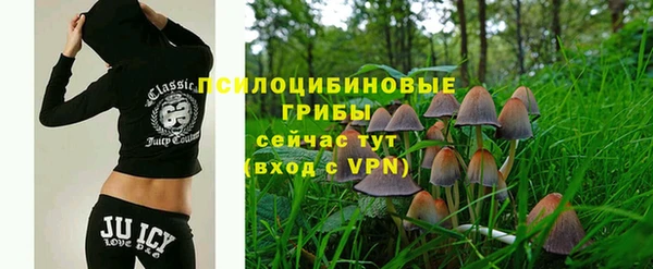 кокс Инсар