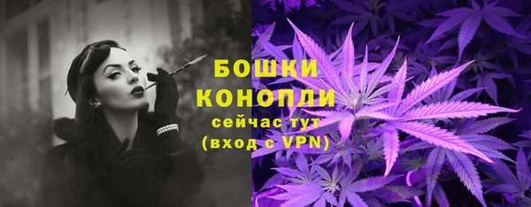 кокс Инсар